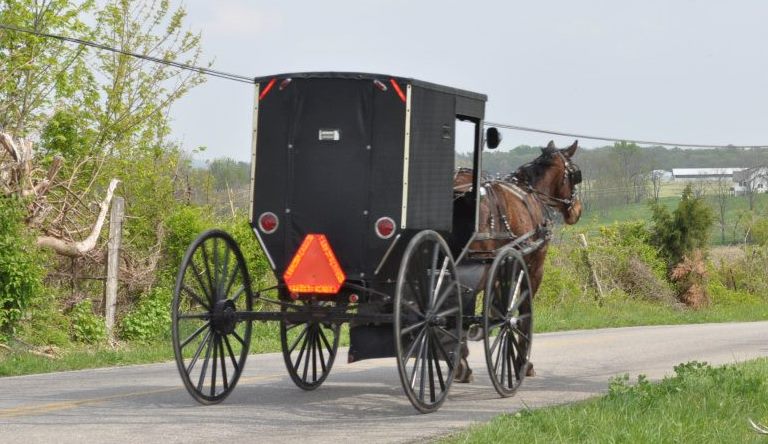 Amish-horse-and-buggy-cropped