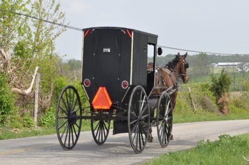 Amish-horse-and-buggy-cropped Amish-horse-and-buggy-cropped